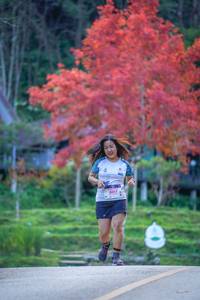 BIB: 8017
                            <button type="button" onclick="openModal(19242196)" class="btn btn-primary btn-sm float-right btn-popup" data-toggle="modal" data-target=".modal-high-quality">
                        <i class="fas fa-shopping-cart"></i> Add to Cart
                    </button>
                                            <button type="button" onclick="isThisMe(19242196, true)" class="btn btn-success btn-sm float-right btn-popup btn-isme hidden" data-toggle="tooltip" data-placement="bottom" title="นี่คือรูปของคุณใช่ไหม คลิกที่นี่เพื่อเอาเข้าอัลบั้ม">
                        <i class="fas fa-plus"></i> Add to album
                    </button>
                    <button type="button" onclick="isThisMe(19242196, false)" class="btn btn-warning btn-sm float-right btn-popup btn-isnotme hidden">
                        <i class="fas fa-ban"></i> Remove from album
                    </button>